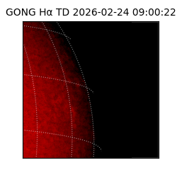 gong - 2026-02-24T09:00:22