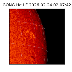 gong - 2026-02-24T02:07:42