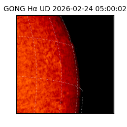 gong - 2026-02-24T05:00:02
