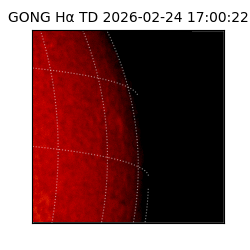 gong - 2026-02-24T17:00:22