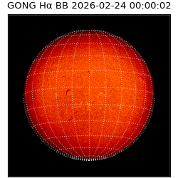 gong - 2026-02-24T00:00:02