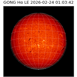gong - 2026-02-24T01:03:42