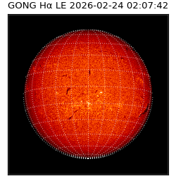 gong - 2026-02-24T02:07:42