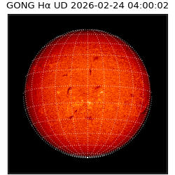 gong - 2026-02-24T04:00:02