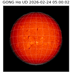 gong - 2026-02-24T05:00:02