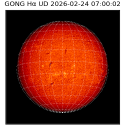 gong - 2026-02-24T07:00:02