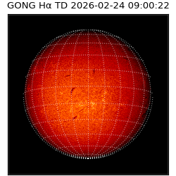 gong - 2026-02-24T09:00:22