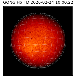 gong - 2026-02-24T10:00:22