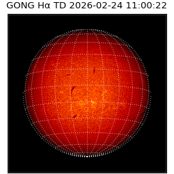 gong - 2026-02-24T11:00:22