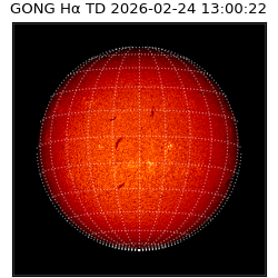 gong - 2026-02-24T13:00:22