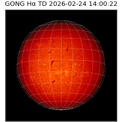 gong - 2026-02-24T14:00:22