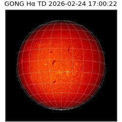 gong - 2026-02-24T17:00:22