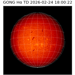 gong - 2026-02-24T18:00:22