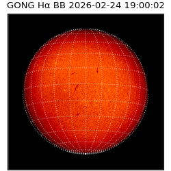 gong - 2026-02-24T19:00:02