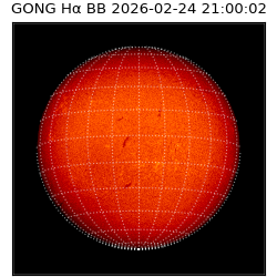 gong - 2026-02-24T21:00:02