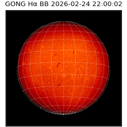 gong - 2026-02-24T22:00:02