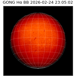 gong - 2026-02-24T23:05:02
