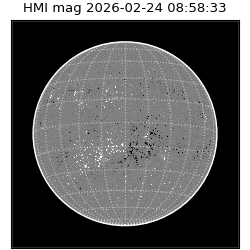 shmi - 2026-02-24T08:58:33