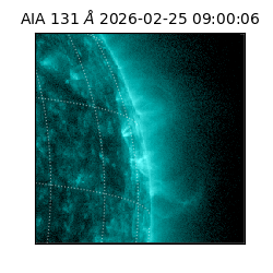 saia - 2026-02-25T09:00:06.622000