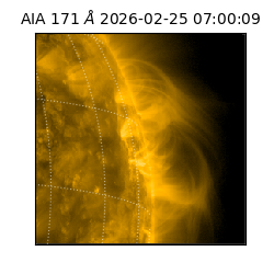 saia - 2026-02-25T07:00:09.350000