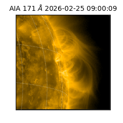 saia - 2026-02-25T09:00:09.350000
