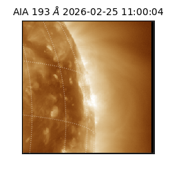 saia - 2026-02-25T11:00:04.843000