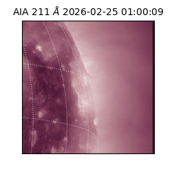 saia - 2026-02-25T01:00:09.617000
