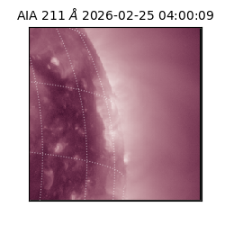 saia - 2026-02-25T04:00:09.625000