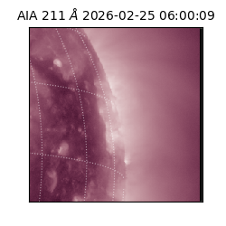 saia - 2026-02-25T06:00:09.618000