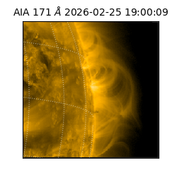saia - 2026-02-25T19:00:09.343000