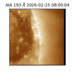 saia - 2026-02-25T08:00:04.835000