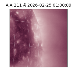 saia - 2026-02-25T01:00:09.617000