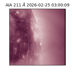 saia - 2026-02-25T03:00:09.626000