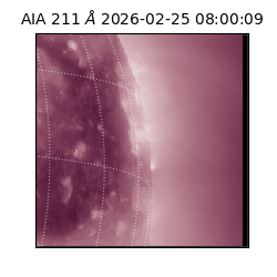 saia - 2026-02-25T08:00:09.618000