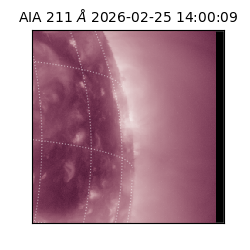 saia - 2026-02-25T14:00:09.626000