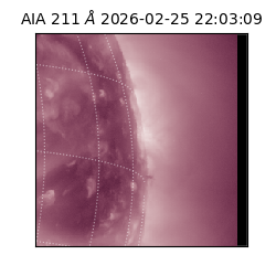 saia - 2026-02-25T22:03:09.626000