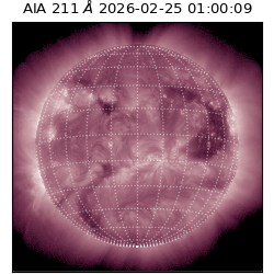 saia - 2026-02-25T01:00:09.617000