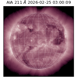 saia - 2026-02-25T03:00:09.626000