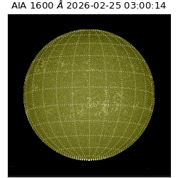 saia - 2026-02-25T03:00:14.125000