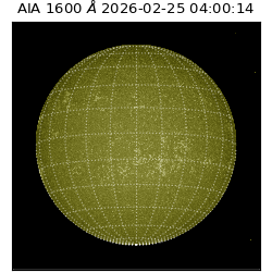 saia - 2026-02-25T04:00:14.126000