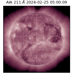 saia - 2026-02-25T05:00:09.623000
