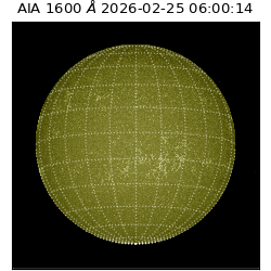 saia - 2026-02-25T06:00:14.117000