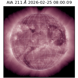 saia - 2026-02-25T08:00:09.618000