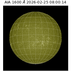 saia - 2026-02-25T08:00:14.118000
