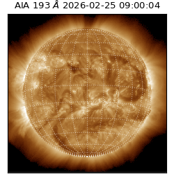 saia - 2026-02-25T09:00:04.843000