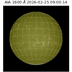 saia - 2026-02-25T09:00:14.129000