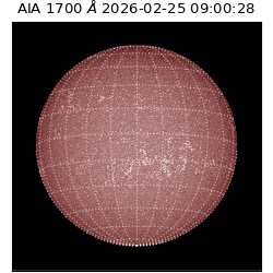 saia - 2026-02-25T09:00:28.721000