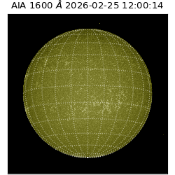 saia - 2026-02-25T12:00:14.118000