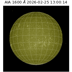 saia - 2026-02-25T13:00:14.129000