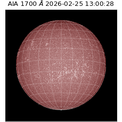 saia - 2026-02-25T13:00:28.710000